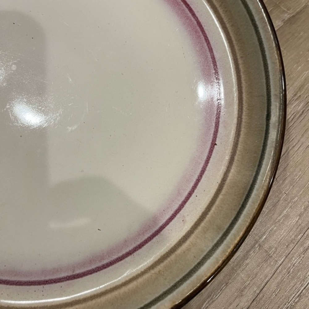 Sango Arcadia Black Cream and Pink Dinner Plates with Tan Edge Set of Two - Picture 7 of 9
